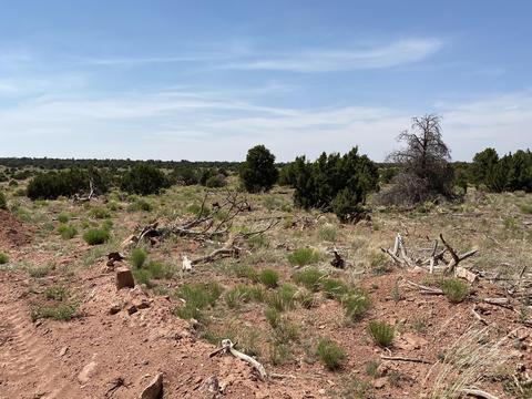 4980 E Lasso Loop Rd, Williams, AZ 86046 photo 8