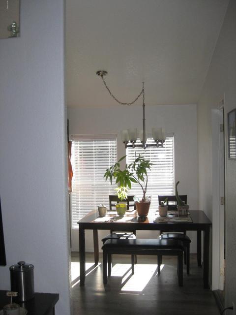 1010 E Spring Valley Rd, Williams, AZ 86046 photo 17