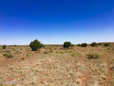 8895 Hansa Trl, Snow Flake, AZ 85937 photo 2
