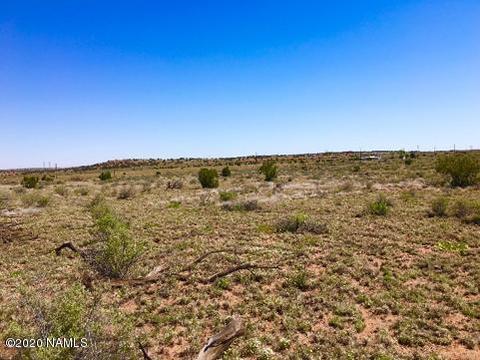 8895 Hansa Trl, Snow Flake, AZ 85937 photo 5