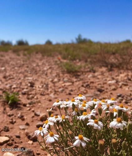 8895 Hansa Trl, Snow Flake, AZ 85937 photo 4