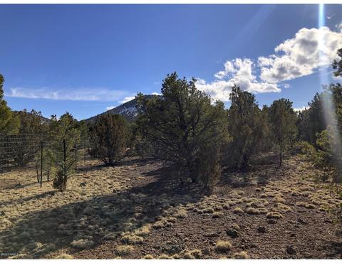 1302 E Tamarack St, Williams, AZ 86046 photo 3