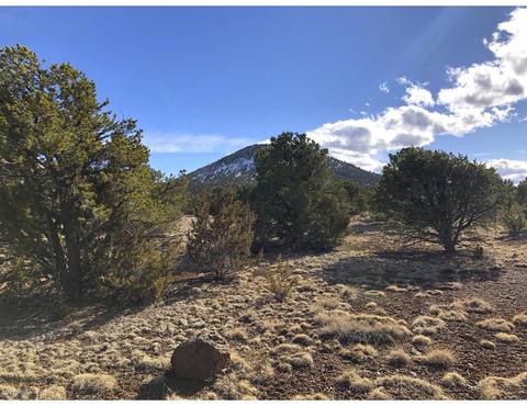 1302 E Tamarack St, Williams, AZ 86046 photo 4