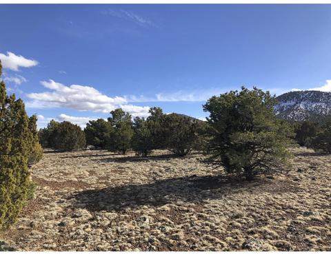 1302 E Tamarack St, Williams, AZ 86046 photo 2