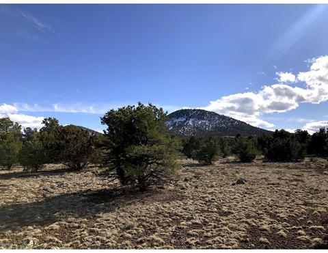 1302 E Tamarack St, Williams, AZ 86046 photo 6