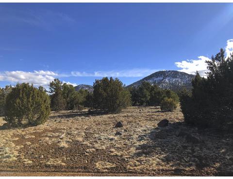1302 E Tamarack St, Williams, AZ 86046 photo 1