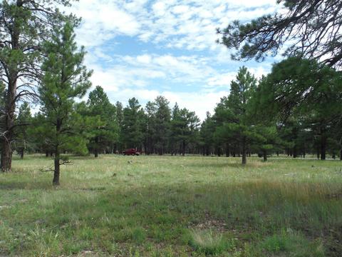 443 S Pinehurst Dr, Williams, AZ 86046 photo 8