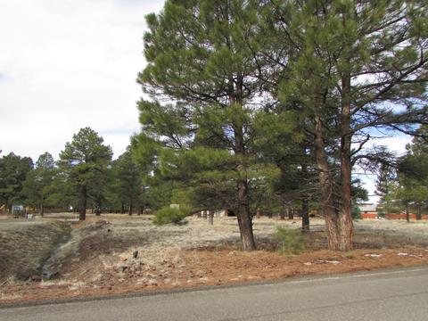 443 S Pinehurst Dr, Williams, AZ 86046 photo 9