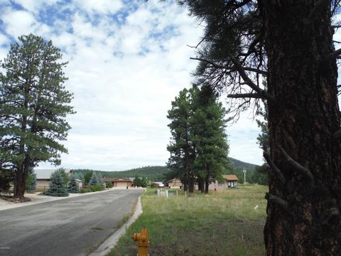 443 S Pinehurst Dr, Williams, AZ 86046 photo 6