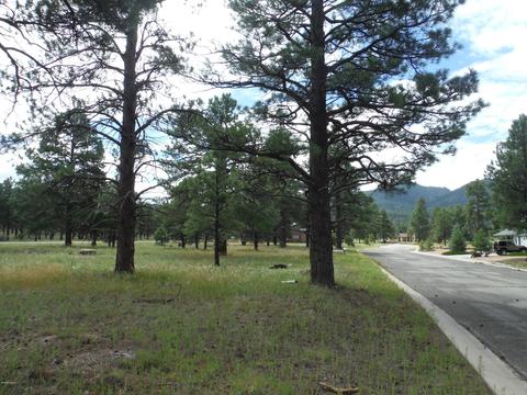 443 S Pinehurst Dr, Williams, AZ 86046 photo 4