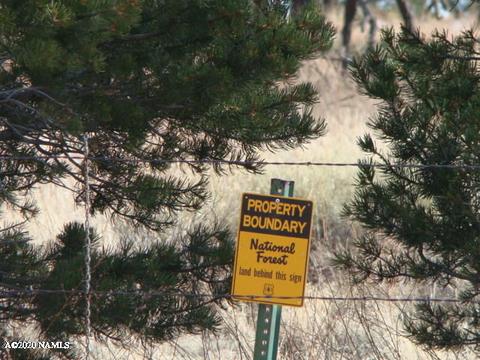4765 E Lenox Rd, Flagstaff, AZ 86004 photo 35