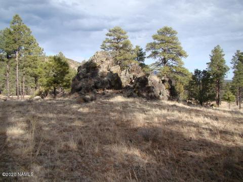 4765 E Lenox Rd, Flagstaff, AZ 86004 photo 44