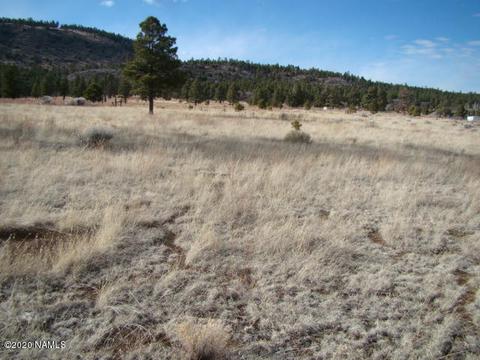 4765 E Lenox Rd, Flagstaff, AZ 86004 photo 37