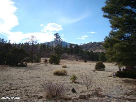 4765 E Lenox Rd, Flagstaff, AZ 86004 photo 6