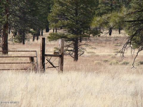 4765 E Lenox Rd, Flagstaff, AZ 86004 photo 38