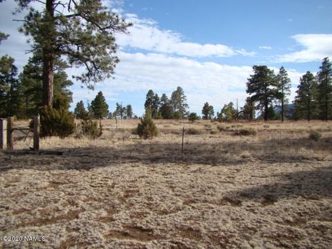 4765 E Lenox Rd, Flagstaff, AZ 86004 photo 43