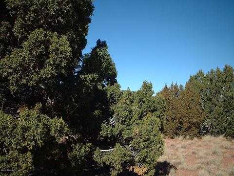 6949 Lasso Loop, Valle, AZ 86046 photo 1