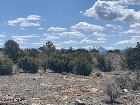 747 E Bianca St, Williams, AZ 86046 photo 2