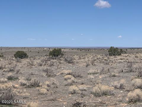 747 E Bianca St, Williams, AZ 86046 photo 4