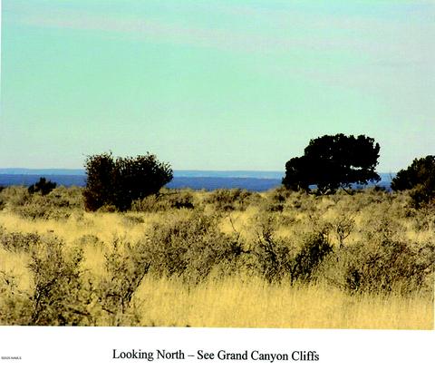 746 E Concho Rd, Williams, AZ 86046 photo 10