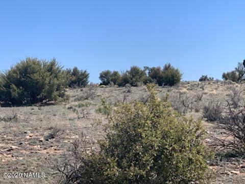 746 E Concho Rd, Williams, AZ 86046 photo 3