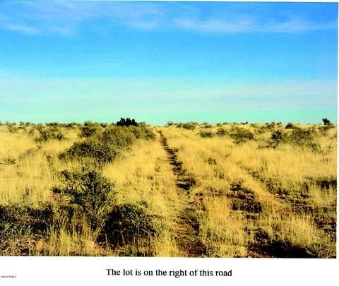 746 E Concho Rd, Williams, AZ 86046 photo 12
