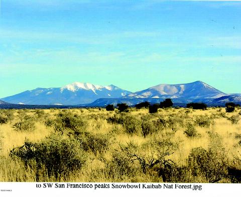 746 E Concho Rd, Williams, AZ 86046 photo 7