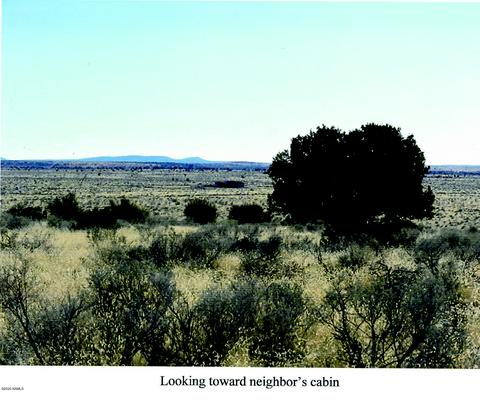 776 E Concho Rd, Williams, AZ 86046 photo 15