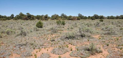 874 Walnut Rd, Williams, AZ 86046 photo 1
