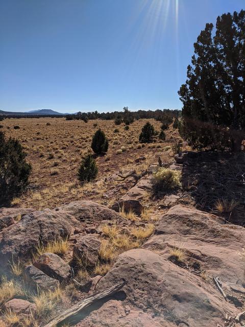 5350 E Lasso Loop Rd, Williams, AZ 86046 photo 4