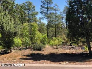 2934 Brook Path, Overgaard, AZ 85933 photo 1