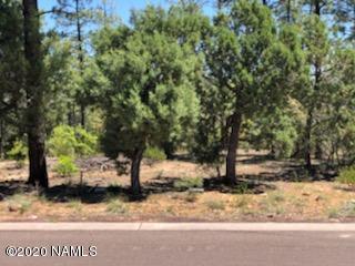 2934 Brook Path, Overgaard, AZ 85933 photo 2