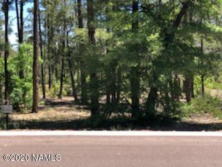 2934 Brook Path, Overgaard, AZ 85933 photo 3