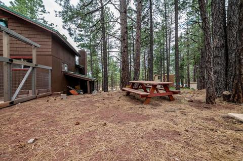 7373 E Long Bow Dr, Williams, AZ 86046 photo 11