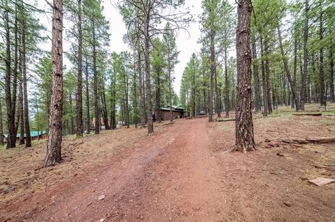 7373 E Long Bow Dr, Williams, AZ 86046 photo 29