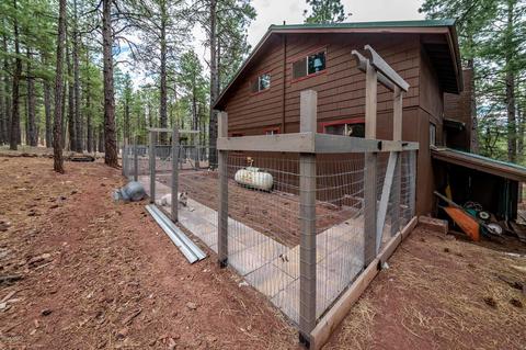 7373 E Long Bow Dr, Williams, AZ 86046 photo 12