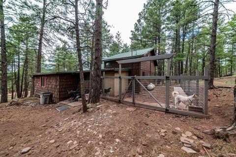 7373 E Long Bow Dr, Williams, AZ 86046 photo 5