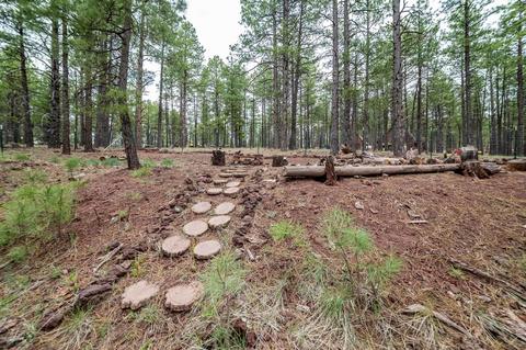 7373 E Long Bow Dr, Williams, AZ 86046 photo 34
