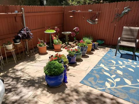 4583 E Allison Dr, Flagstaff, AZ 86004 photo 21