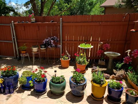 4583 E Allison Dr, Flagstaff, AZ 86004 photo 24
