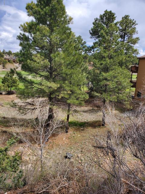 4245 E Broken Rock Loop Loop, Flagstaff, AZ 86004 photo 5