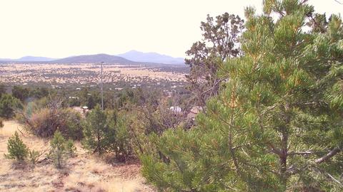 1623 E Sagebrush Rd, Williams, AZ 86046 photo 4