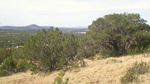 1623 E Sagebrush Rd, Williams, AZ 86046 photo 6