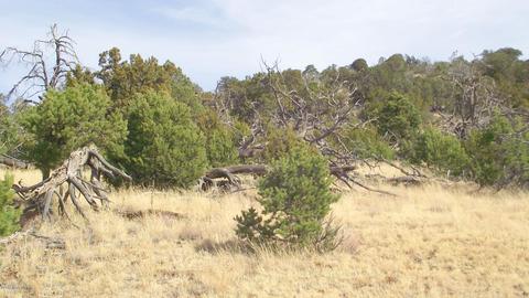 1623 E Sagebrush Rd, Williams, AZ 86046 photo 8