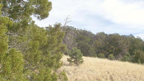 1623 E Sagebrush Rd, Williams, AZ 86046 photo 9