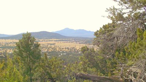 1623 E Sagebrush Rd, Williams, AZ 86046 photo 7