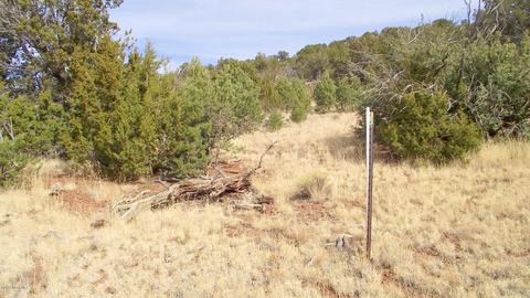 1623 E Sagebrush Rd, Williams, AZ 86046 photo 16