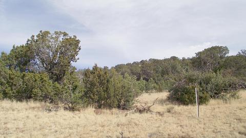 1623 E Sagebrush Rd, Williams, AZ 86046 photo 2