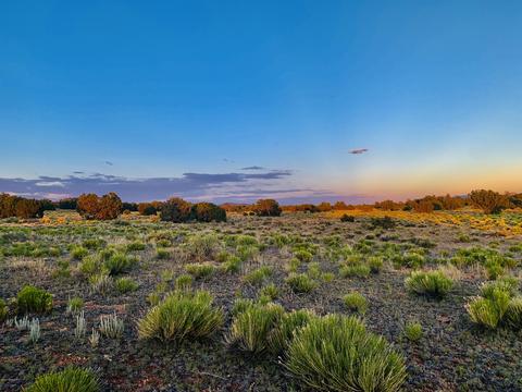 4937 E Vernon Rd, Williams, AZ 86046 photo 3
