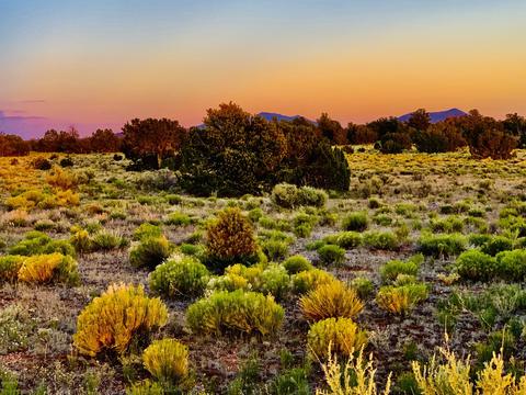 4937 E Vernon Rd, Williams, AZ 86046 photo 2